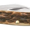 Case Amber Bone Peach Seed Jig (SS) Stockman Folder Knife #00128