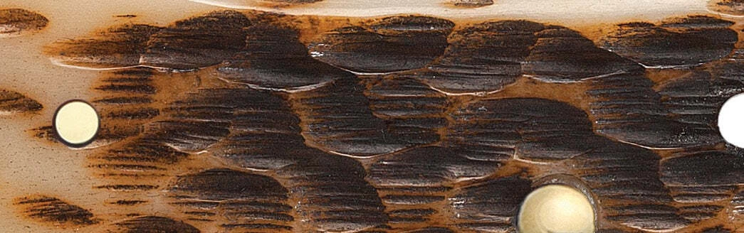 Case Amber Bone Peach Seed Jig (SS) Large Trapper Folder Knife #00164 - Image 5