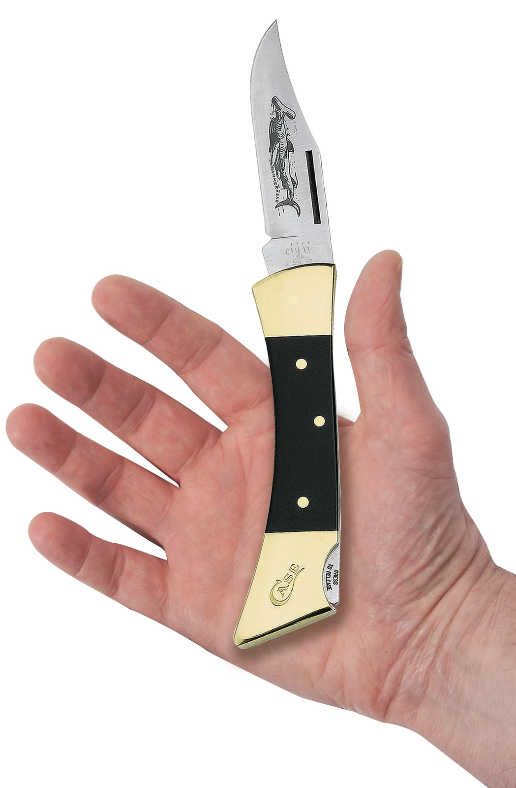 Case Jet-Black Synthetic (SS) Hammerhead Lockback Folder Knife #00177 - Image 3